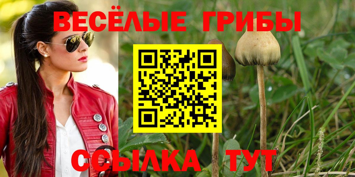 Рыбинск  Псилоцибиновые грибы Psilocybe  Вход с VPN 
