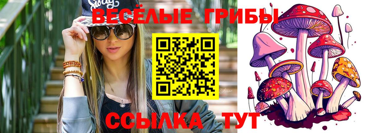 Псилоцибиновые грибы прущие грибы Рыбинск